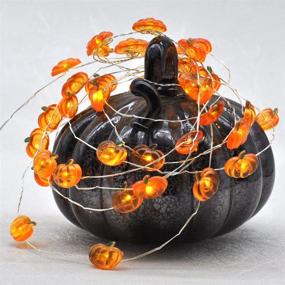 img 1 attached to 🎃 Fall Pumpkin LED String Lights, 10ft Silver Wire with Remote & Timer – Battery Powered for Thanksgiving, Wedding, Birthday Parties – DIY Home Mantel, New Year Decoration – IMPRESS LIFE
