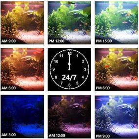 img 2 attached to 🐠 IREENUO Аквариум LED освещение: Полный спектр, пультом управляемое освещение с изменением цвета для коралловых рифов, водных растений и аквариумных рыб.