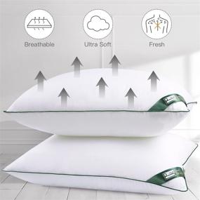 img 1 attached to 🛏️ BedStory 2 Pack King Size Ultra Soft Bed Pillows - Hotel Quality Down Alternative Pillows for Side, Back, & Stomach Sleepers - Green
