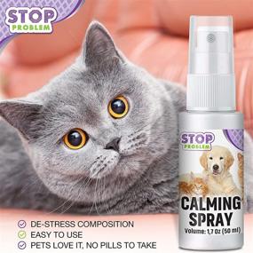 img 1 attached to 🐱 Beloved Pets Pheromone Calming Spray for Cats (50ML): Effective Long-Lasting Calming Aid for Anxiety Relief, Behavior Control & Stress Prevention