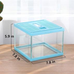 img 2 attached to 🕷️ Blue Spider Box - Reptile Terrarium Container Cage for Tarantula, Gecko, Frogs, Tortoise, Snails, Hermit Crabs - Insect Enclosure Pet Tank with Cricket Breeding Geometric Cube Bowl