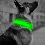 🐶 vizbrite led dog collar with nylon reflective material, flashing light pet collar for increased safety and visibility of small, medium, and large dogs logo