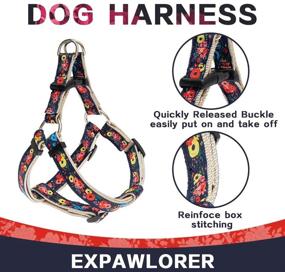 img 2 attached to 🐾 EXPAWLORER No-Pull Dog Harness and Leash Set with Collar - Heavy-Duty & Adjustable Basic Harness for Small to Medium Dogs & Cats