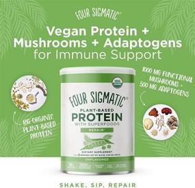 img 3 attached to 🌿 Four Sigmatic Superfood Protein: Organic Plant-Based Protein with Chaga Mushroom & Ashwagandha for Immune Support, Muscle Repair, and Smooth Blending - Unflavored, 16.7 oz