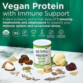 img 2 attached to 🌿 Four Sigmatic Superfood Protein: Organic Plant-Based Protein with Chaga Mushroom & Ashwagandha for Immune Support, Muscle Repair, and Smooth Blending - Unflavored, 16.7 oz