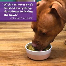 img 1 attached to 🐶 Dr. Harvey's Specialty Diet Healthy Weight Beef Recipe: Premium Dehydrated Dog Food with Human Grade Beef