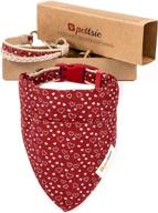 🐶 pettsie matching dog collar, bandana & owner friendship bracelet set - gift box included | durable hemp | 2 adjustable sizes | comfortable & soft | strong d-ring for leash attachment | s, red logo