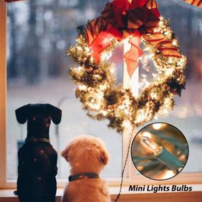 img 2 attached to Enhance Your Outdoor Holiday Decor with Replacement Christmas Incandescent Lights