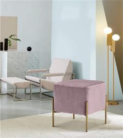 img 1 attached to 🛋️ Meridian Furniture Isla Collection Velvet Ottoman in Pink with Stainless Steel Legs - Modern & Contemporary Design - 15.5" x 15.5" x 17.5