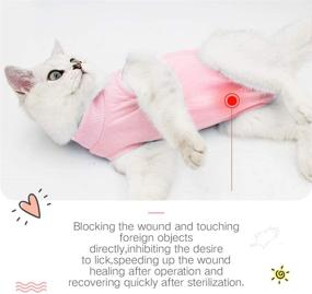 img 2 attached to 🐾 ESDMSE Professional Pet Recovery Suit for Cat Abdominal Wounds and Skin Diseases | After Surgery Wear, E-Collar Alternative for Cats and Dogs | Home Indoor Pets Clothing