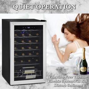 img 1 attached to Freestanding Stainless Steel Frame Smad 33-Bottle Wine Fridge Compressor Wine Cooler