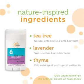 img 2 attached to 🌿 Eco-friendly Natural Deodorant with Lavender and Tea Tree - Aluminum-Free (3 Pack, 2.45 oz.)