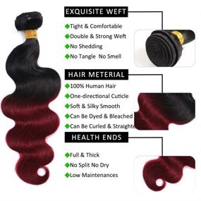 img 1 attached to 🌺 Kapelli Hair 10A Ombre Brazilian Human Hair With Closure (12 14 16+12) - 3 Bundles Brazilian Body Wave with Closure, 2-Tone Black to Burgundy Human Hair Weave