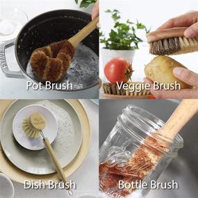 img 1 attached to 🌱 HELLO NATURE Plant-based 5-Piece Kitchen Brush Set: Biodegradable Natural Fibre Wooden Dish Brush, Bottle Brush, Pot Brush, Vegetable Brush with Replaceable Head - Eco-friendly, Plastic-Free Product