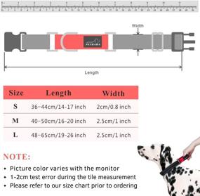 img 2 attached to 🐶 PETBABAB Padded Dog Collar with Buckle - Neck Protection & Long-lasting Durability for Pet Walking Training
