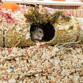 img 1 attached to 🐹 Niteangel Creative & Composable Hamster Tunnel - DIY Tube Burrow for Small Sized Pets Such as Hamsters, Mice, and Gerbils