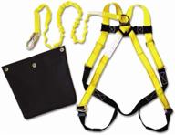 guardian fall protection 17200 72 aerial logo