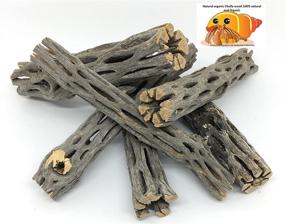 img 3 attached to 🌿 Premium Aquatic Cholla/Choya Wood 6” - Ideal for Shrimp Habitat, Hermit Crabs, Plecos - pH Lowering, Hiding Spots, and Chew Toys - Thorn-Free, Dried Organic Material - 3 Piece Set