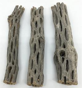 img 4 attached to 🌿 Premium Aquatic Cholla/Choya Wood 6” - Ideal for Shrimp Habitat, Hermit Crabs, Plecos - pH Lowering, Hiding Spots, and Chew Toys - Thorn-Free, Dried Organic Material - 3 Piece Set