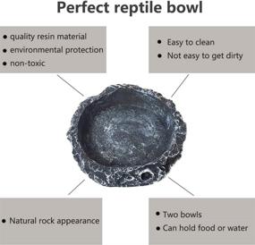 img 3 attached to 🦎 Tfwadmx Reptile Water Bowls and Food Dish Set with Tongs - Ideal for Tortoise, Lizard, Bearded Dragon, Frog, Leopard Gecko, Snake, Chameleon - Includes 3 Pcs