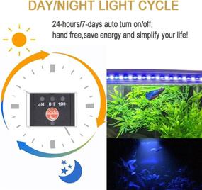 img 3 attached to 🐠 MingDak 24/7 RGB Submersible Aquarium Light for Fish Tank with Auto On/Off Day/Night Cycle, 3-Stage Timer for Precise Timing, 13 Customizable Colors, Adjustable Brightness, 6 LEDs - 7.5 Inch