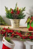 🎄 cypress home holiday holly and pinecone tabletop floral arrangement логотип