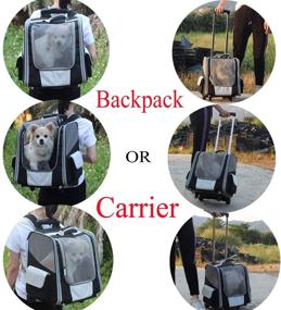 img 3 attached to 🐶 MY-PETS Pet Dog Backpack Carrier: Airline Approved, Hands-Free Mesh Ventilation Bag for Small Dogs, Cats, Hedgehog - Perfect for Walking, Hiking, Travel & Outdoor activities