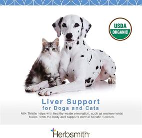 img 3 attached to 🐶 Organic Milk Thistle for Dogs and Cats by Herbsmith – Liver Support Supplement Made in USA