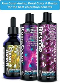 img 1 attached to Brightwell Aquatics CoralAmino: Enhancing Coral Coloration & Growth with Amino Acid Complex