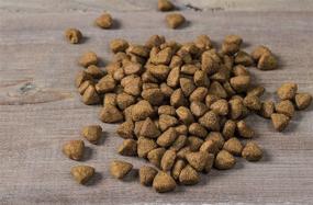 img 1 attached to 🐶 Nulo Frontrunner Puppy Food - High-Quality Dry Kibble with Beneficial Antioxidants and Probiotics for Enhanced Digestive and Immune Well-being - Tailored for Small and Large Breed Dogs