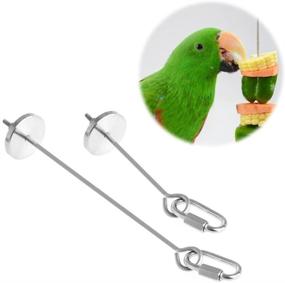 img 1 attached to Hypeety Bird Fruit Vegetable Holder: Stainless Steel Skewer for Parrot Budgies, Cockatiels, Conure, Lovebirds, Finch, Canary - Ideal Cage Food Feed Tool