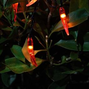 img 2 attached to 🌶️ Energize Your Space with Solar Chili String Lights: Vibrant Red Pepper Lights for Remarkable Home, Garden, Park, Patio Décor, Parties, Weddings, Xmas & Chinese New Year Celebrations!