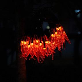 img 1 attached to 🌶️ Energize Your Space with Solar Chili String Lights: Vibrant Red Pepper Lights for Remarkable Home, Garden, Park, Patio Décor, Parties, Weddings, Xmas & Chinese New Year Celebrations!