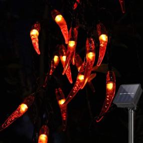 img 4 attached to 🌶️ Energize Your Space with Solar Chili String Lights: Vibrant Red Pepper Lights for Remarkable Home, Garden, Park, Patio Décor, Parties, Weddings, Xmas & Chinese New Year Celebrations!