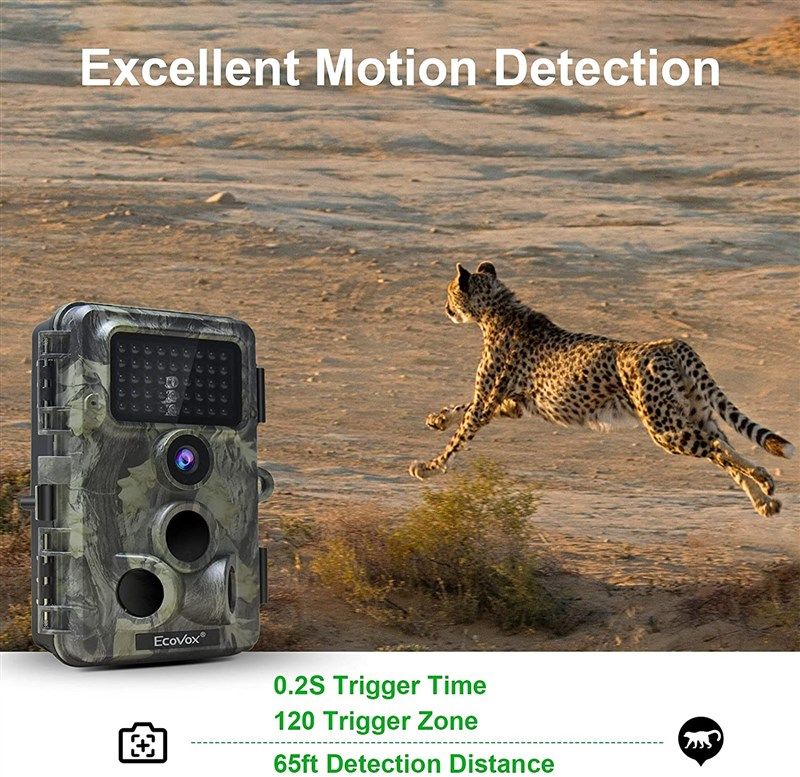 ecovox 4k trail camera