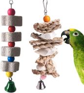 🦜 entertaining pinvnby parrot toy set with cuttlebone, beak grinding stone and bell – ideal for african greys, amazon conure, eclectus, budgies, parakeet, cockatiel, hamster, chinchilla, rabbit – 2 pack logo