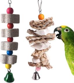 img 4 attached to 🦜 Entertaining PINVNBY Parrot Toy Set with Cuttlebone, Beak Grinding Stone and Bell – Ideal for African Greys, Amazon Conure, Eclectus, Budgies, Parakeet, Cockatiel, Hamster, Chinchilla, Rabbit – 2 Pack