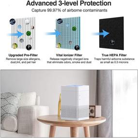 img 3 attached to TRUSTECH 215ft² Air Purifier for Home, H11 HEPA Filter, Removes 99.97% Allergens, Smoke, Pollen, Pets Hair, 20DB Desktop Air Cleaner, 3-Stage Filtration, Air Quality Sensor for Office, Bedroom (White)