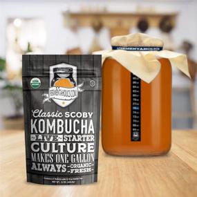 img 2 attached to 🍵 Master the Art of Kombucha Brewing with the Kombucha Essentials Kit - ORGANIC SCOBY, 1-Gallon Glass Fermenting Jar, and More!