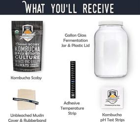 img 1 attached to 🍵 Master the Art of Kombucha Brewing with the Kombucha Essentials Kit - ORGANIC SCOBY, 1-Gallon Glass Fermenting Jar, and More!