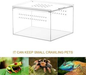 img 3 attached to 🦎 NANEEZOO Acrylic Reptile Breeding Box, 5x4x3 Inch Nano Enclosure – Transparent Terrarium Cage Tank for Tarantula, Scorpion, Sling, Isopods, Invertebrates, Insects, Mantis