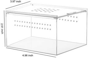 img 2 attached to 🦎 NANEEZOO Acrylic Reptile Breeding Box, 5x4x3 Inch Nano Enclosure – Transparent Terrarium Cage Tank for Tarantula, Scorpion, Sling, Isopods, Invertebrates, Insects, Mantis