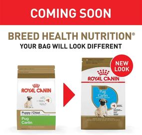 img 3 attached to Pug Puppy Breed Specific Dry Dog Food - Royal Canin, 2.5 lb bag