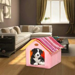 img 3 attached to 🏠 ShellKingdom Dog House: Foldable Pet Cat and Dog Bed with Cushion - Comfortable Indoor Shelter for Pets