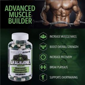 img 1 attached to Enhanced Athlete Arachidonic Supplement Увеличенный