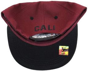 img 1 attached to 🧢 California Republic Snapback Hat for Boys - L.G. Boys' Accessories for Hats & Caps