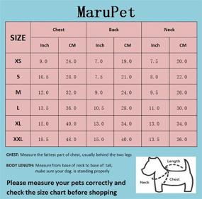 img 1 attached to 🐶 MaruPet Puppy Dog Ribbed Knit Sweater: Stylish Turtleneck Hoodie for Small Dogs