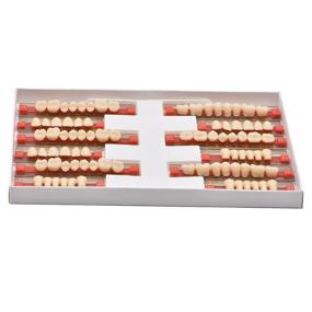 img 4 attached to 🏻 84-Piece Denture Set with Synthetic Resin Teeth- Perfect for Halloween Horror Themed Events- A3 Size