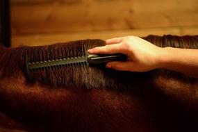 img 2 attached to 🐴 Wahl Mane Braiding Comb - Professional Animal Grooming Tool