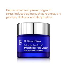 img 3 attached to Dr Dennis Gross B³Adaptive SuperFoods Stress Repair Face Cream - Hydration, Redness Relief, Worry Lines, 2.0 fl oz